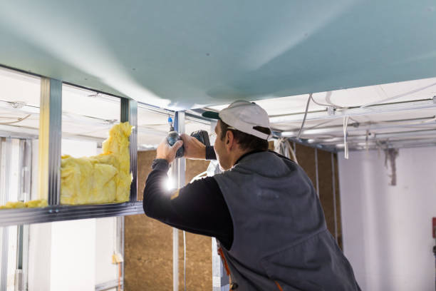 Trusted Buckner, KY Insulation Contractor Experts